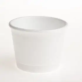 polystyrene tubs bowls with lids 125ml