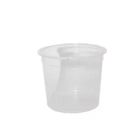 clear tubs bowls with lids 125ml
