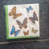 20 x 2ply Butterfly Print Serviettes