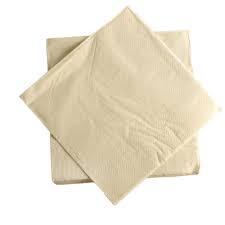 2ply serviettes 30x30cm ice cream
