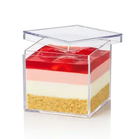 10x60ml Mini Square Acrylic Dessert Contain Withli