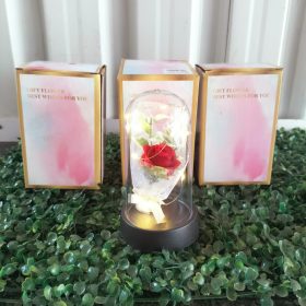 forever rose in acrylic dome with light