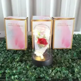 forever rose in acrylic dome with light