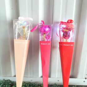 boxed rose with string light cols