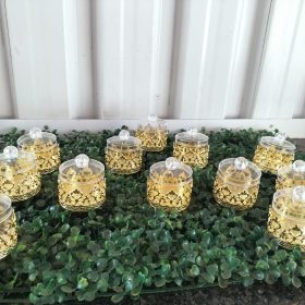 mini acrylic round containers gold edging