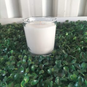 Citronella Candle