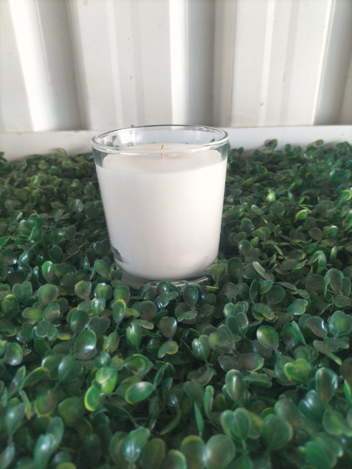 Citronella Candle