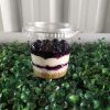 300ml Dessert Containers with Lids