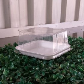 10 Foam Trays #60D+Dome Lid Fits 4 Cupcakes/Burger 135x135mm