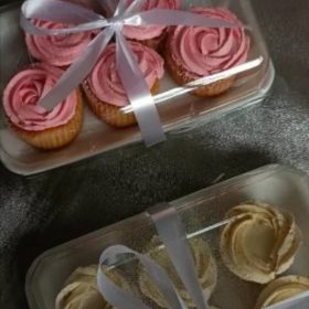 foam trays #73+dome lid fits 6 cupcakes