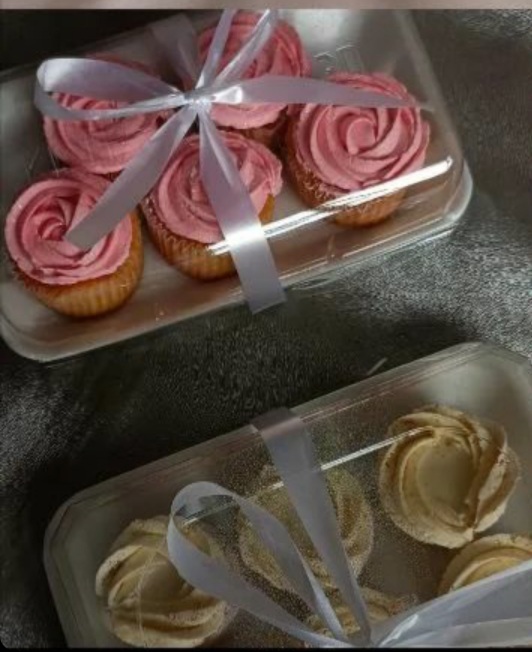 foam trays #73+dome lid fits 6 cupcakes